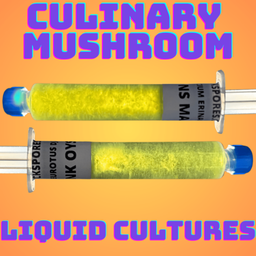 Culinary Mushroom Liquid Cultures