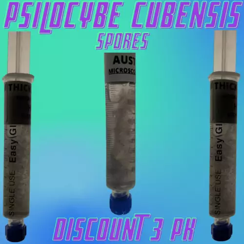 psilocybe cubensis spores 3 pack product image
