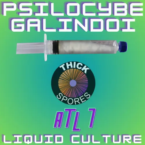 Psilocybe Galindoi (ATL7) Liquid Culture 10cc