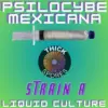 Psilocybe Mexicana Strain A Liquid Culture 10cc