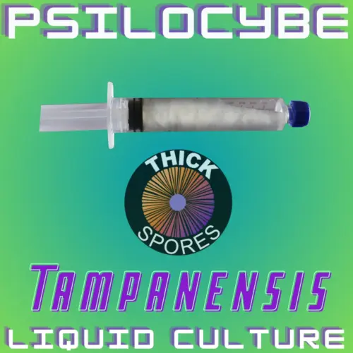 Psilocybe Tampanensis Liquid Culture 10cc
