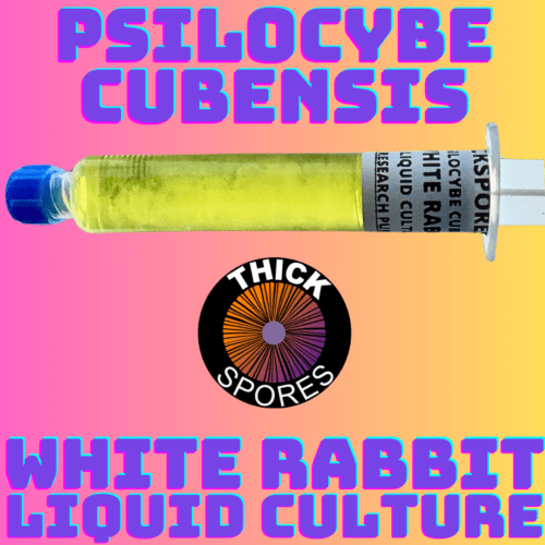 White Rabbit Liquid Culture Syringe