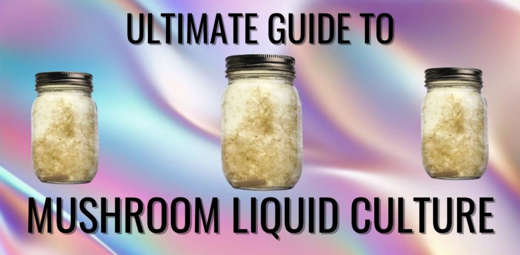 mushroom liquid culture guide