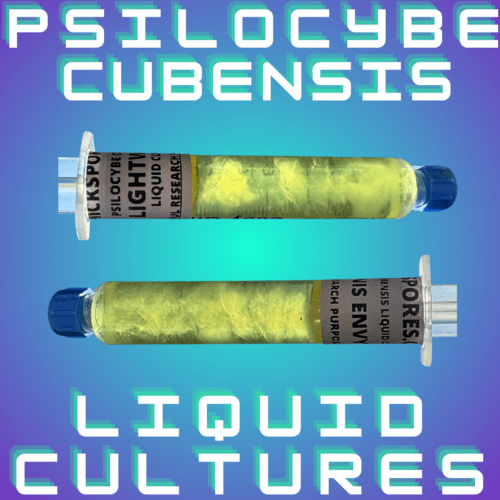 Psilocybe Cubensis Liquid Culture Syringes