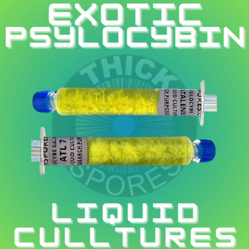 Exotic Psilocybin Mushroom Liquid Cultures