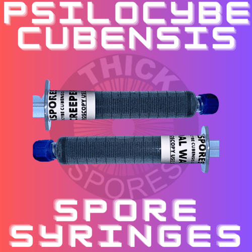 Psilocybe Cubensis Spores