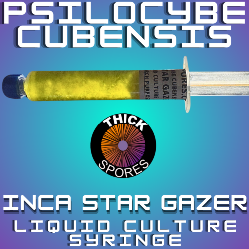 inca star gazer liquid culture syringe