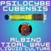 Albino Tidal Wave Liquid Culture 10cc