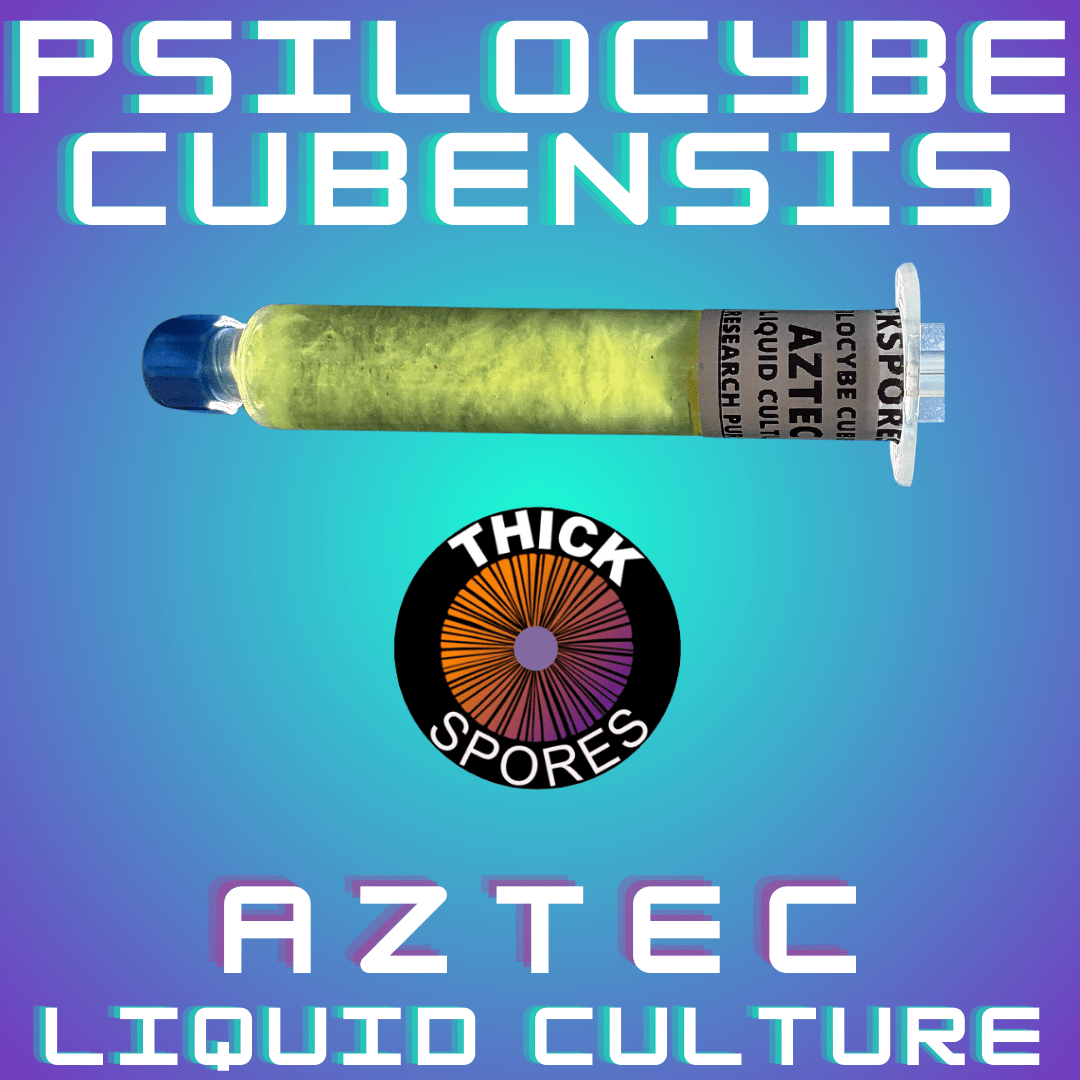Aztec God Liquid Culture