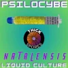 Psilocybe Natalensis Liquid Culture 10cc