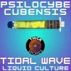 Tidal Wave Liquid Culture 10cc