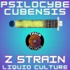 Z Strain Liquid Culture 10cc