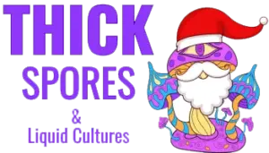 thick spores logo for christmas (header)