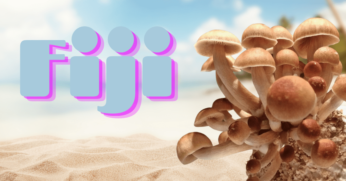 fiji mushrooms